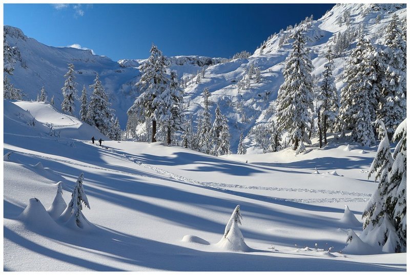 Воскресная прогулка фото превью