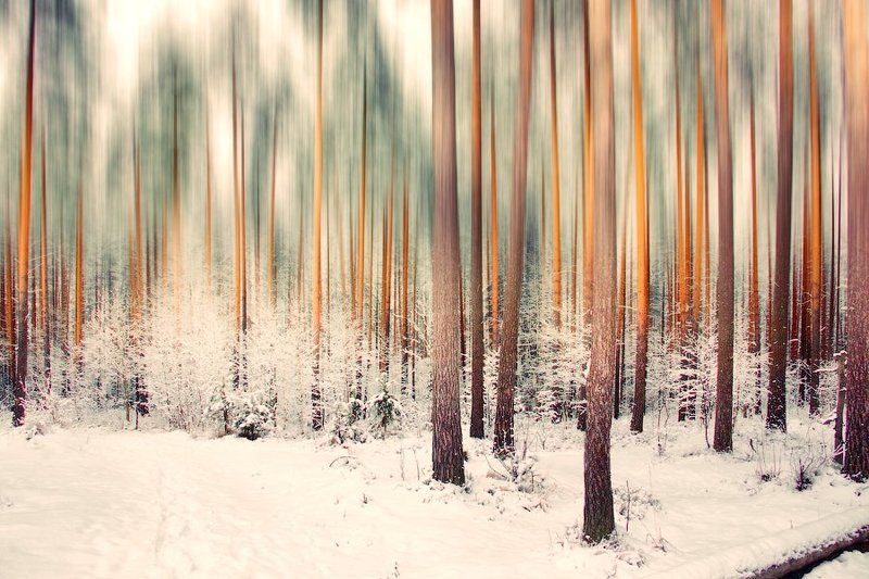 Оранжевые линии фото превью