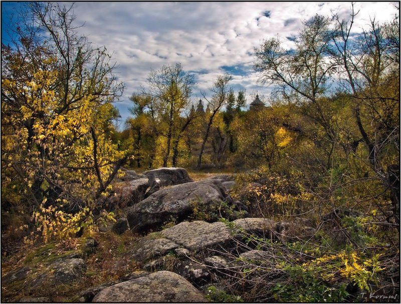 заповедник,хортица,осень Дорога в сказку фото превью