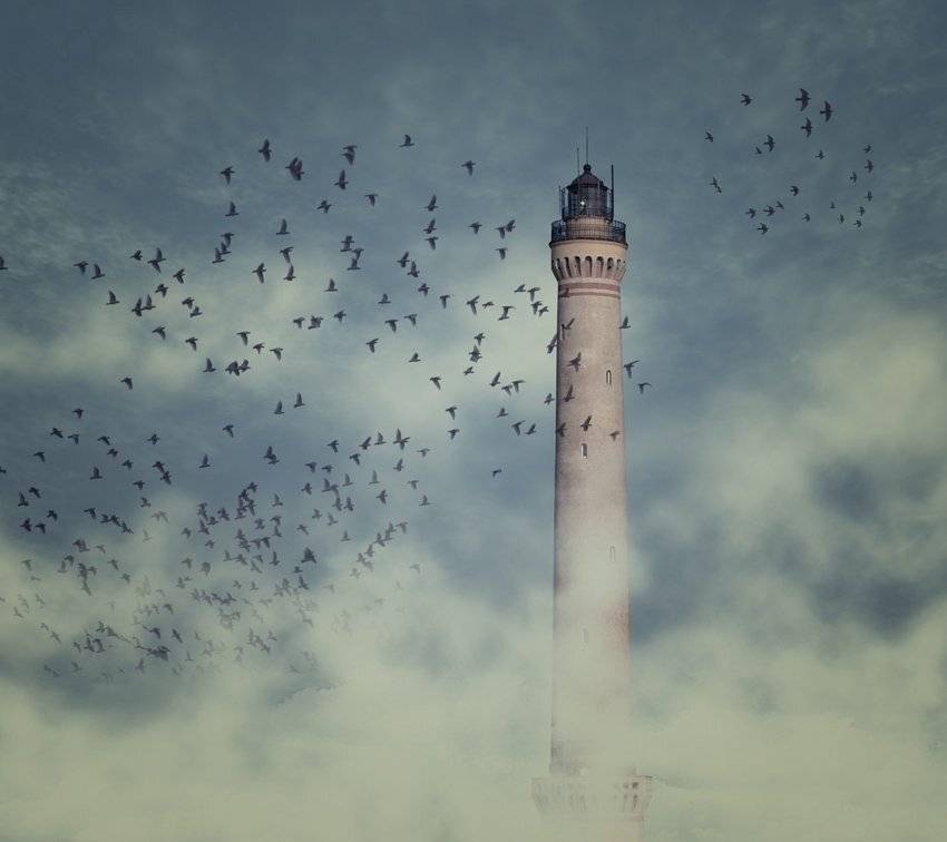 light house, light, birds, sky, clouds, Caras Ionut