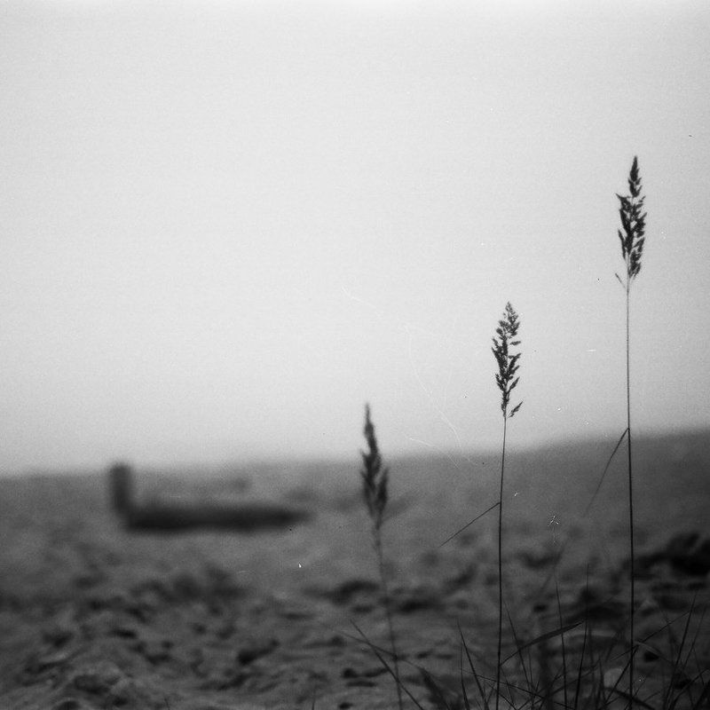 Жизнь среди камней, песка и тумана фото превью