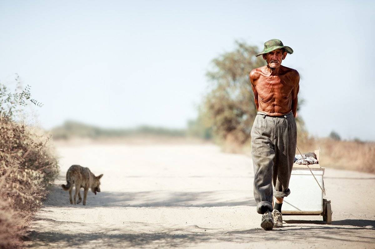 , Дмитрий Кнут