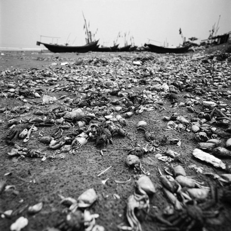 nam dinh, vietnam, mf An old fishing village фото превью