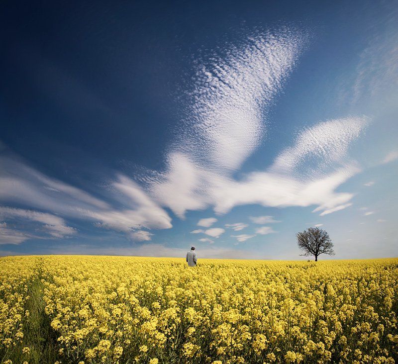 The Pursuit of Happyness фото превью