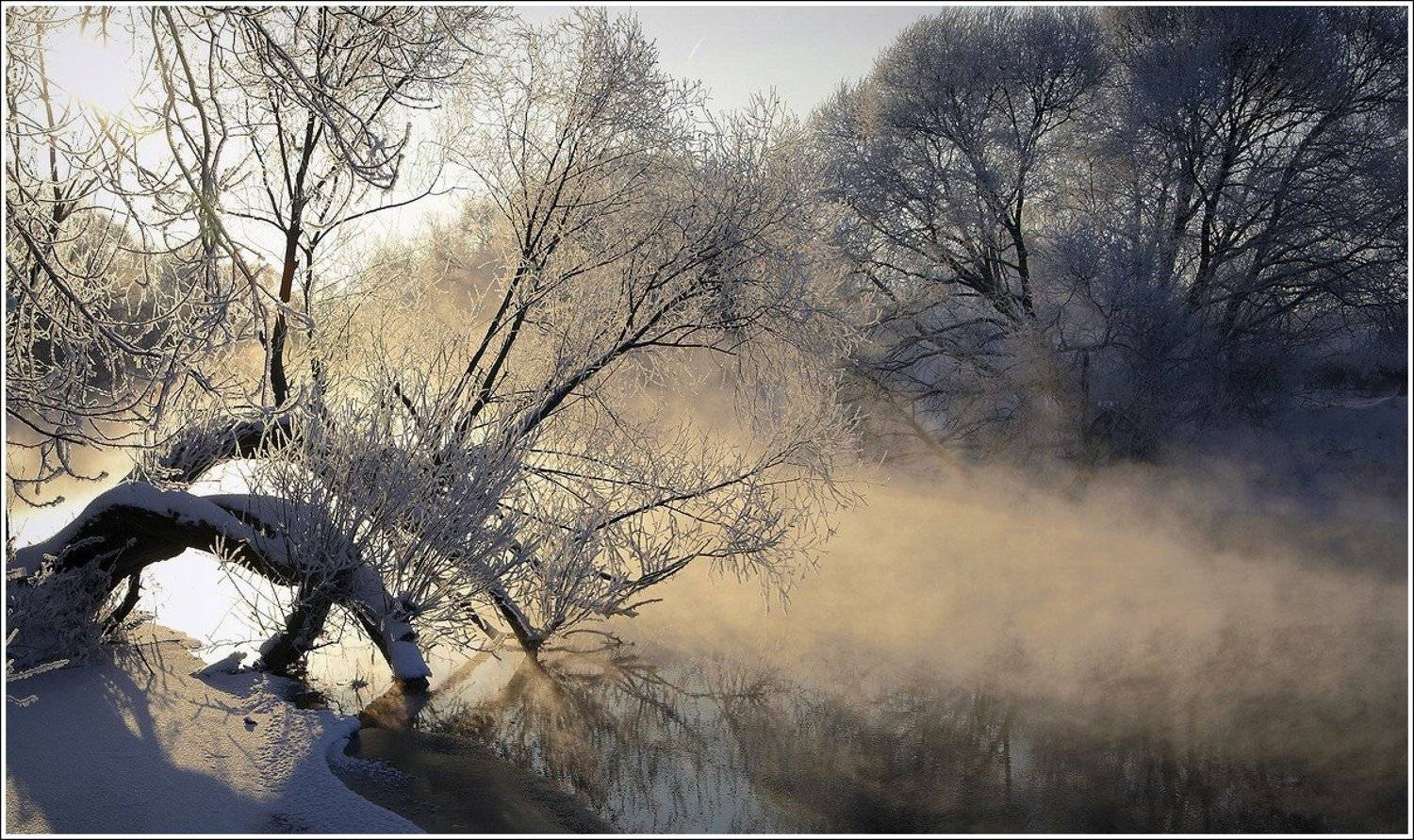 зима, пахра, Григорий Иващенко