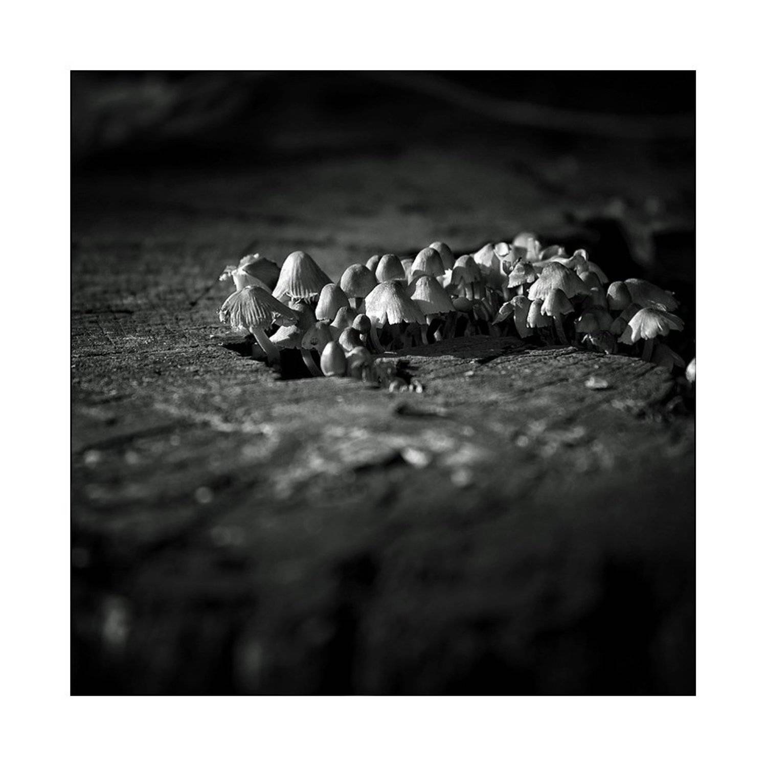 , Лариса Гурьева