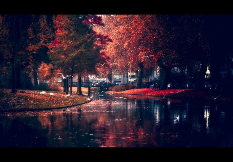 Осень в Роттердаме фото превью