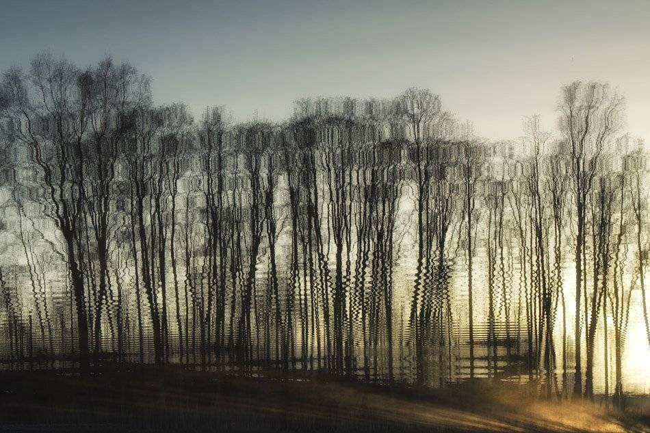 , Rimantas Bikulcius