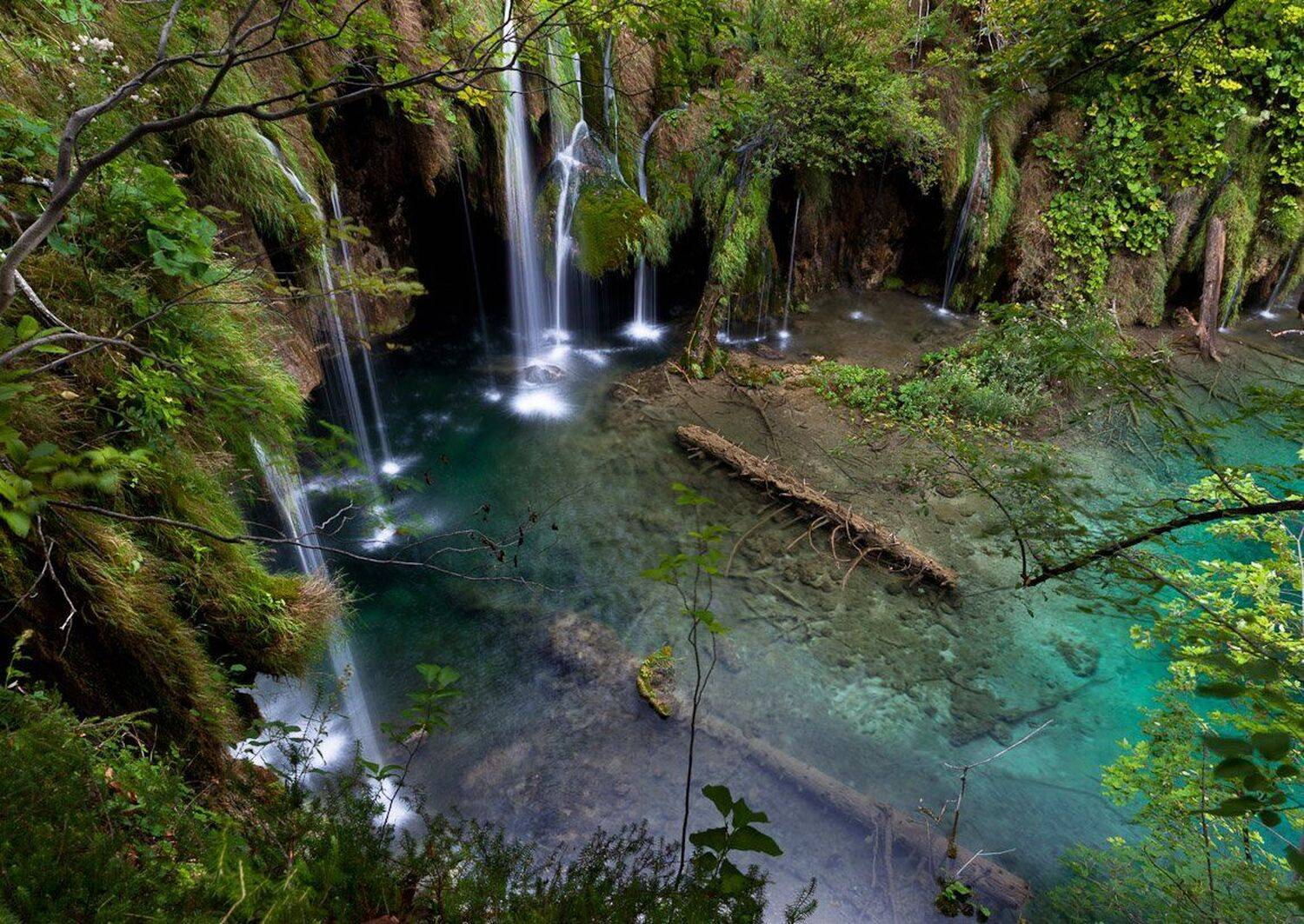 , Надежда Звягина / New Zealand