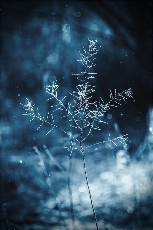 ночь Ночной снегопад фото превью