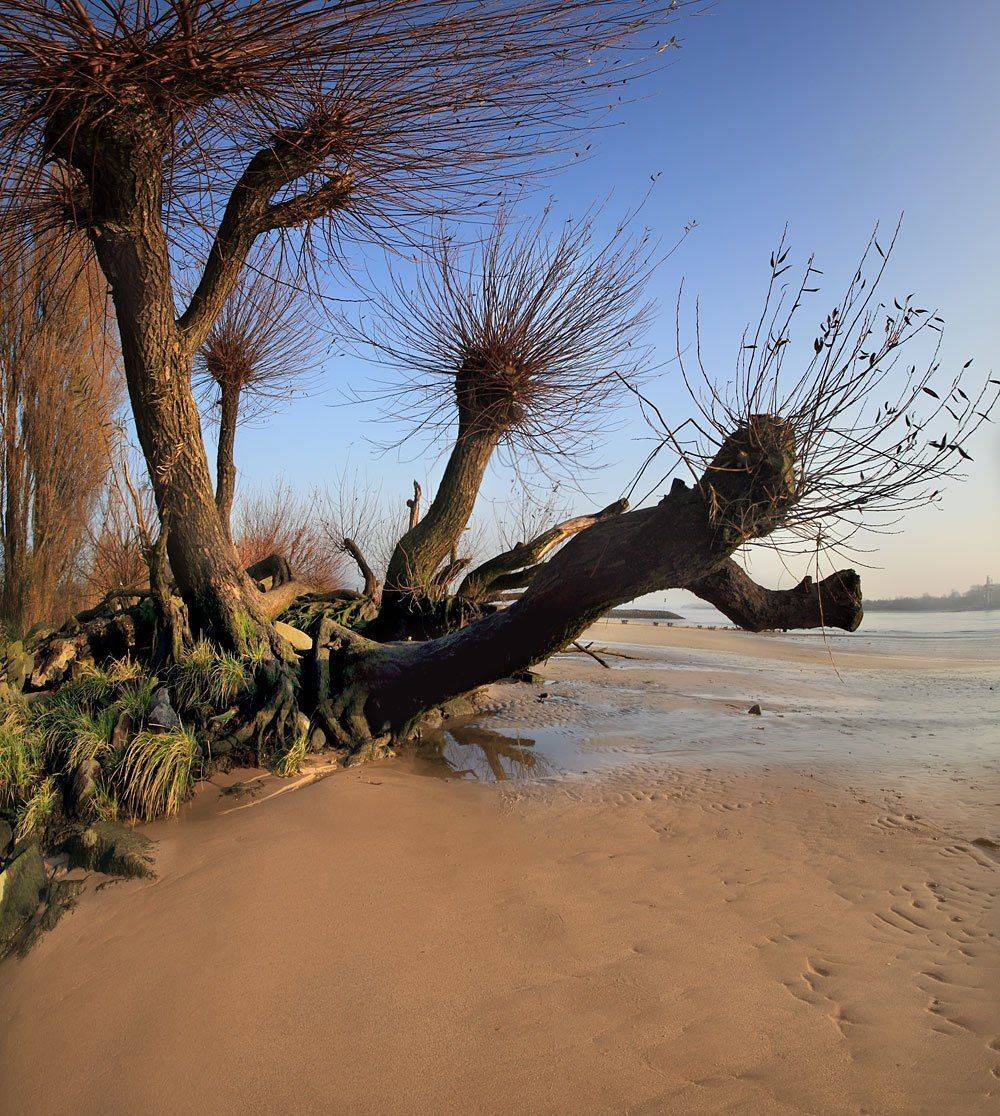 германия, эльба,берег,осень, Игорь Дубровский