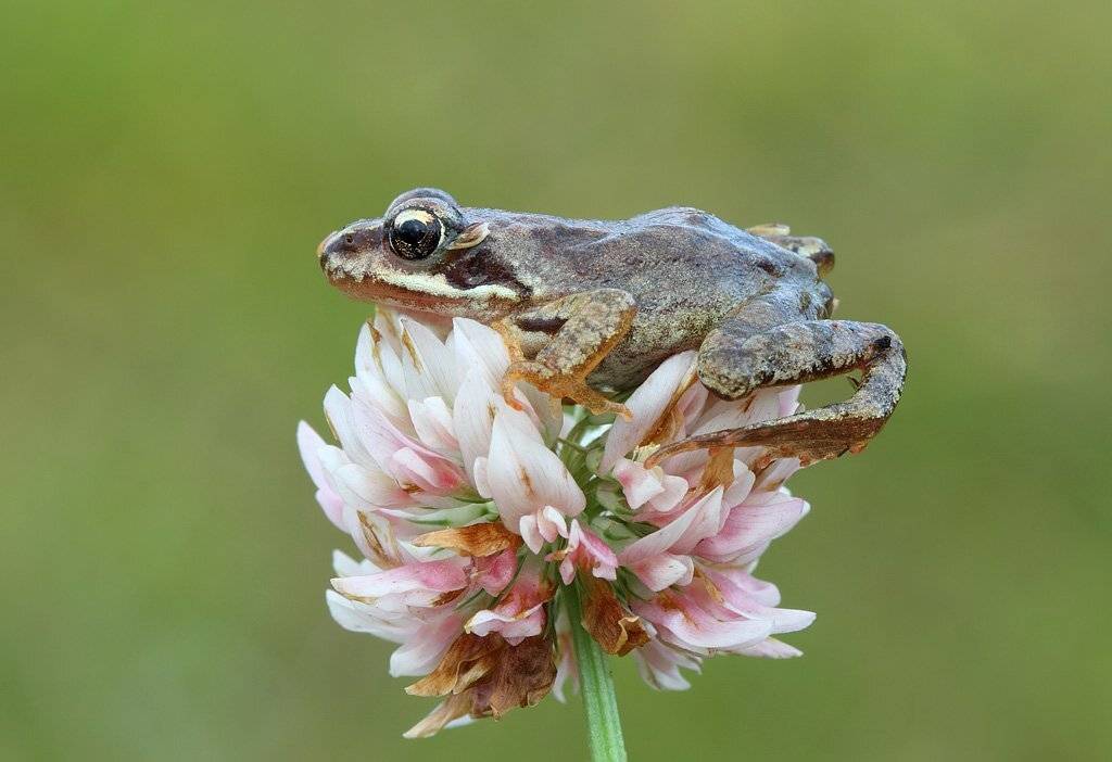 , Сергей Таланов