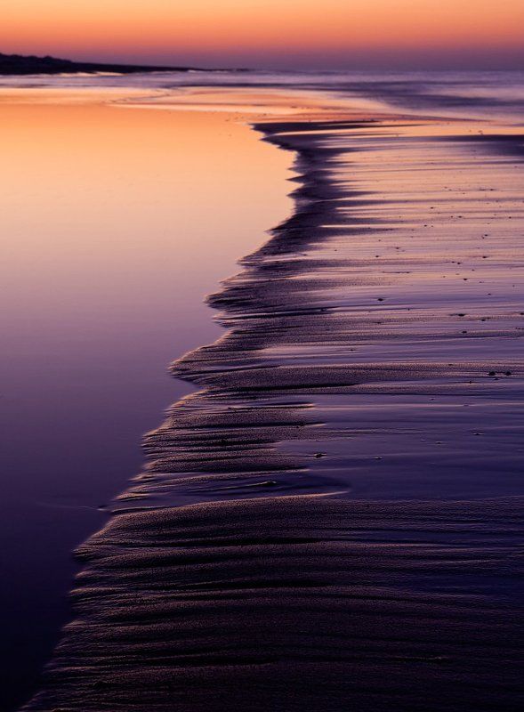 *** tales from the coast фото превью