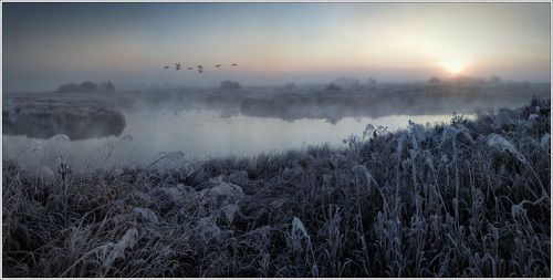 Об одном утре...