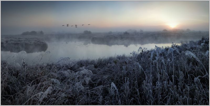 утро, иней, рассвет Об одном утре... фото превью