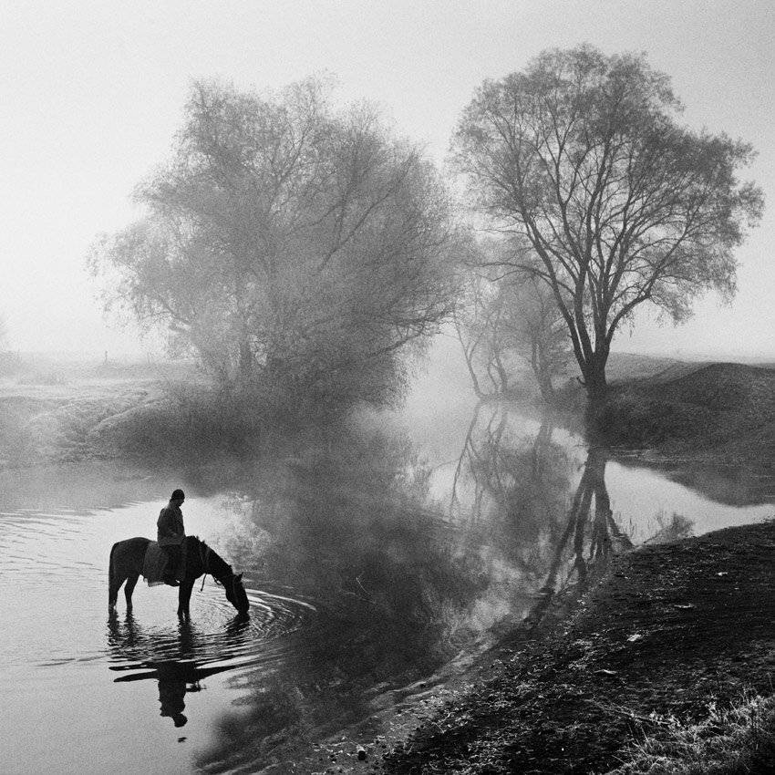 туман, oleksandr