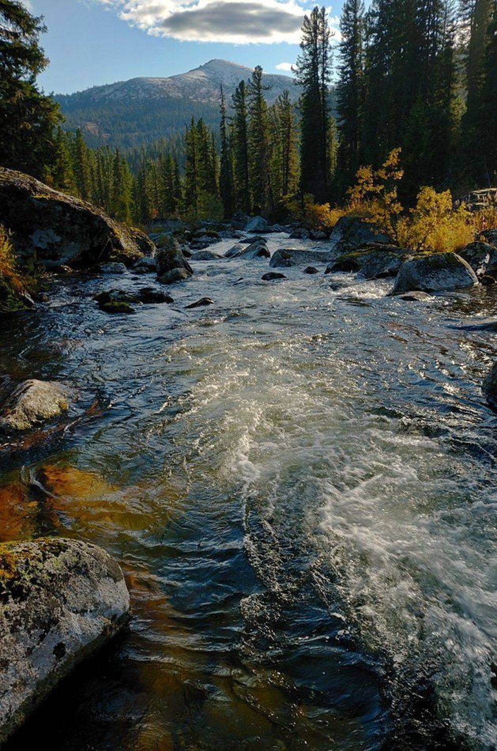 , Евгений strannik521