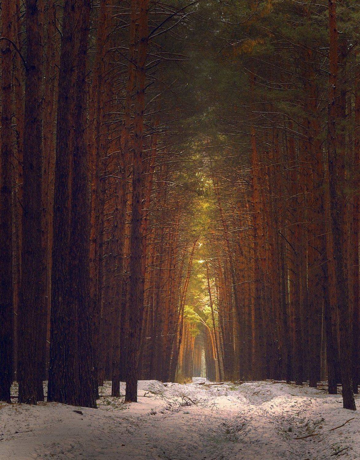 , Андрей Балабин