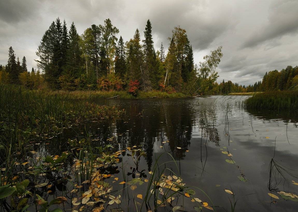 север, деревня,кема, осень, Roman Goryachiy