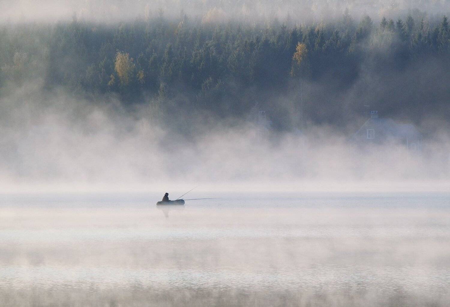 , Максим Евдокимов