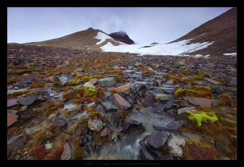Горный ручей на острове Чамп (II) фото превью