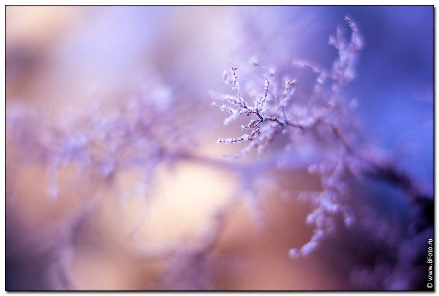 sigma, 85mm, f, 1.4, ноябрь, Алексей Строганов