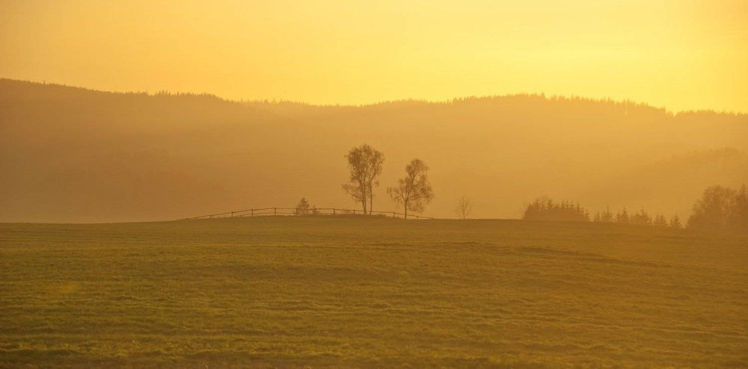 , Андрей Кашлаков