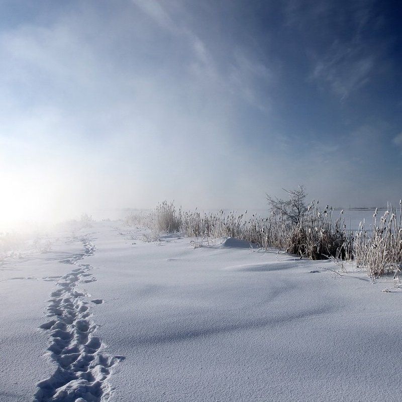 На ветер фото превью