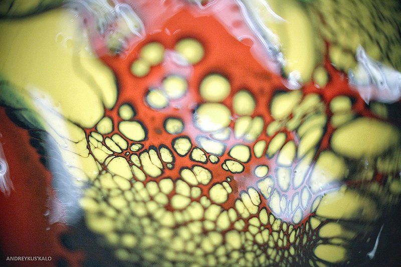 Шкура дракона фото превью