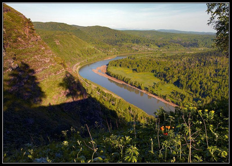 Майский гербарий... фото превью
