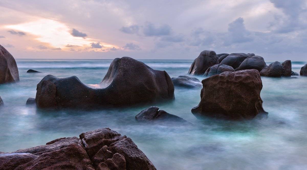 , Людмила Прокофьева