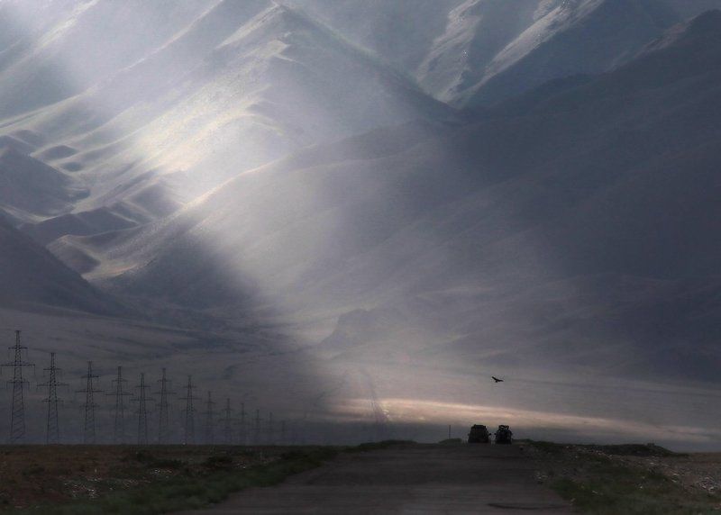 ПТИЧКА... фото превью