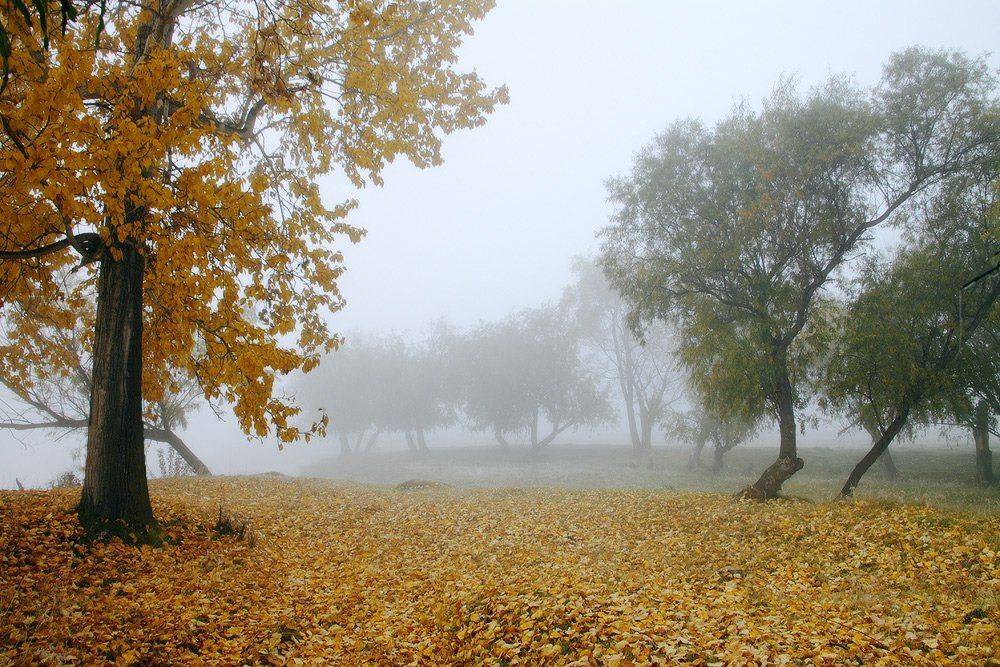 , Николай Морский