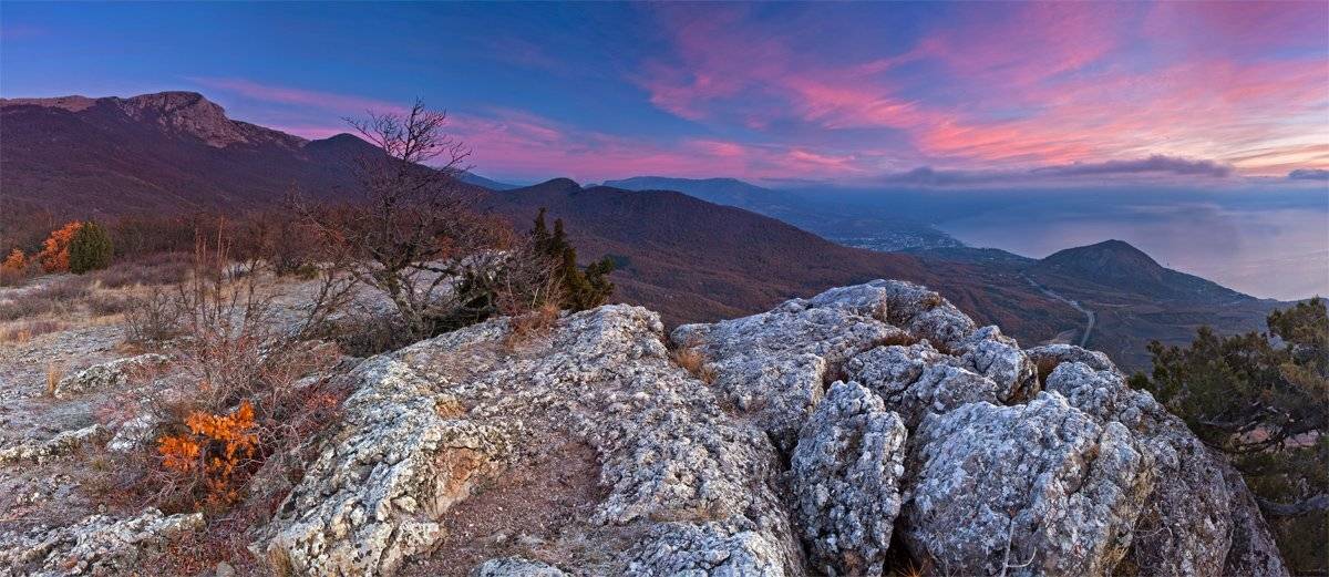 , Станислав Савицкий