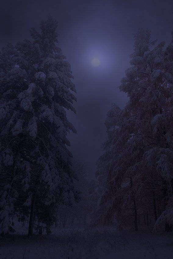 , Михаил  Пилипенко