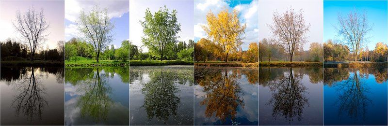 Цикл жизни фото превью