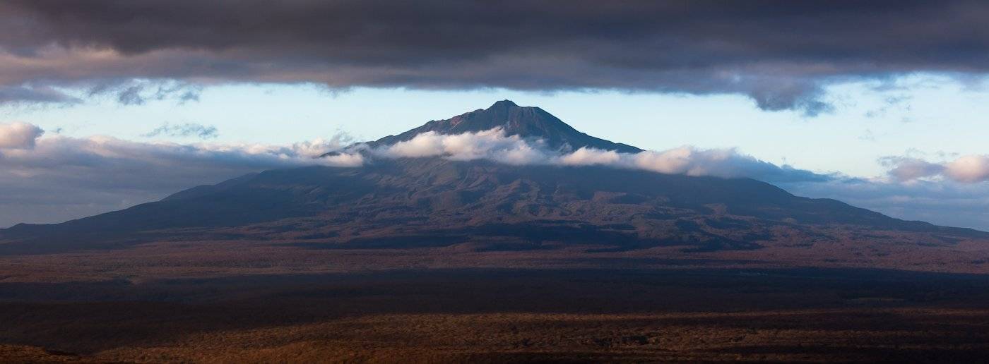 , Надежда Звягина / New Zealand
