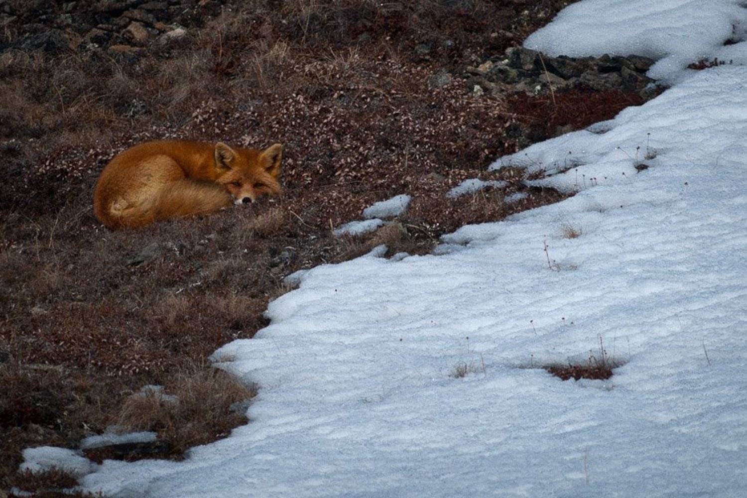 , Иван Кислов