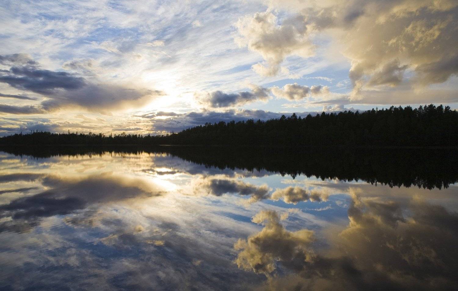 , Пётр Берберов