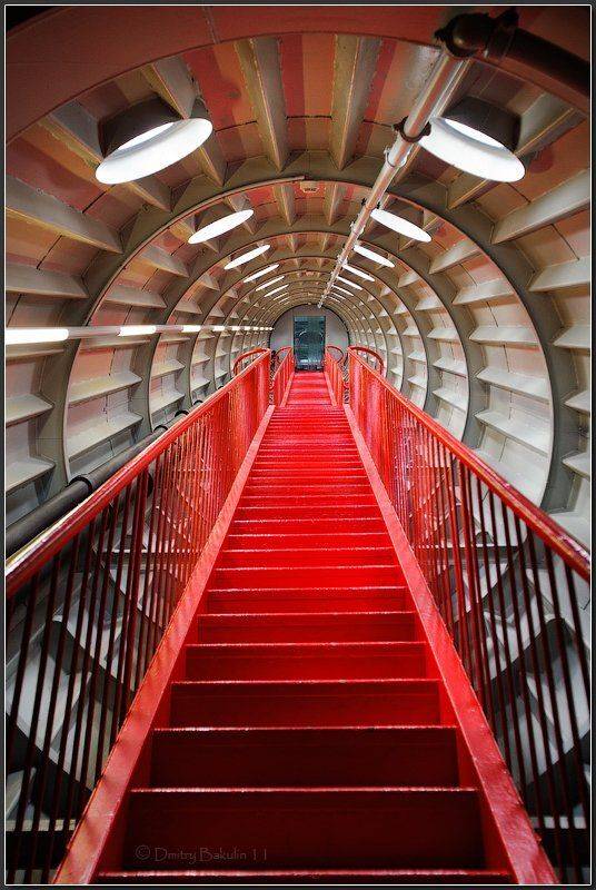 брюссель, Дмитрий Бакулин