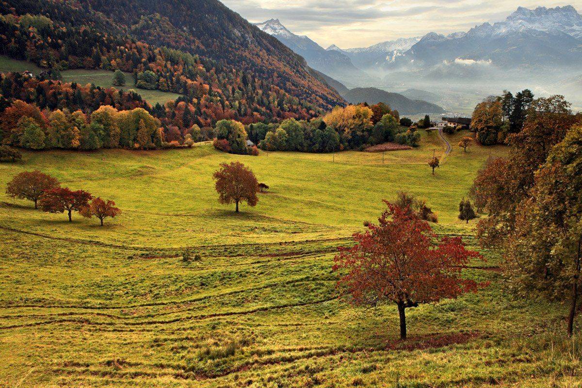swiss, Матвеев Николай