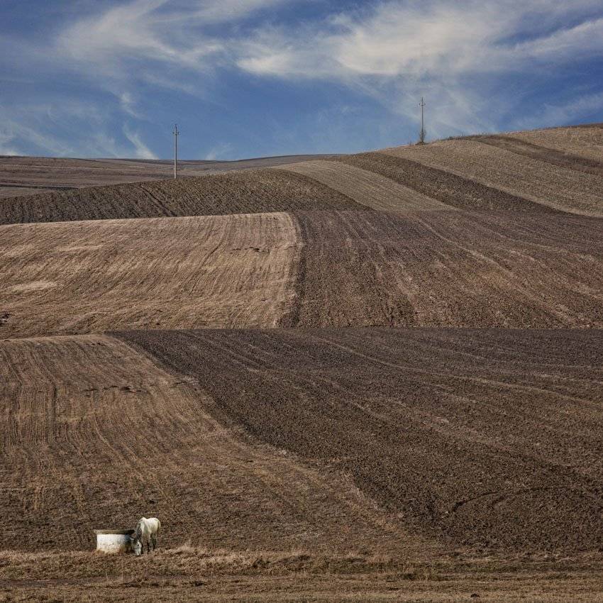 horse, fountain, ground, rural, sky, pole, waves, Caras Ionut