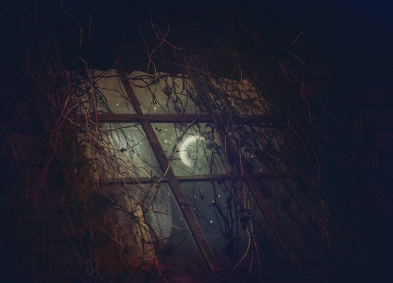 Secret window фото превью