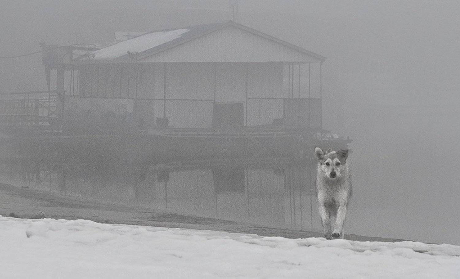 , Сергей Мироненко