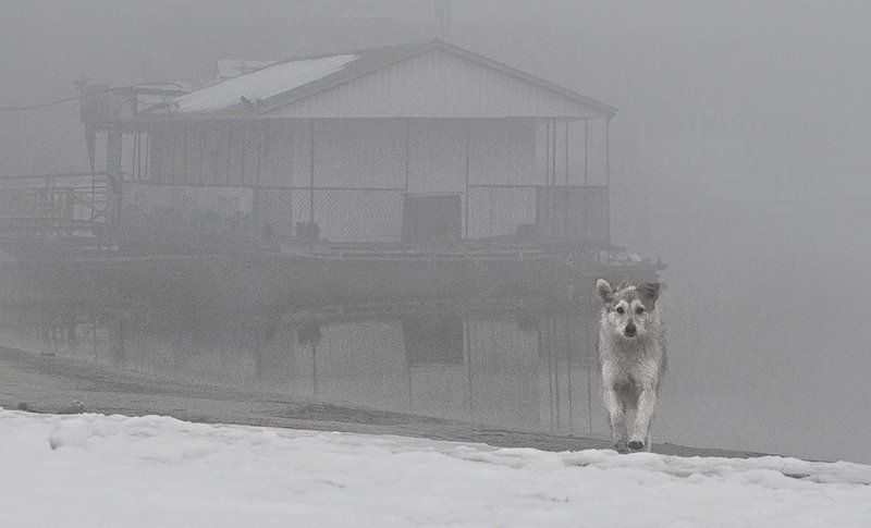 *** фото превью