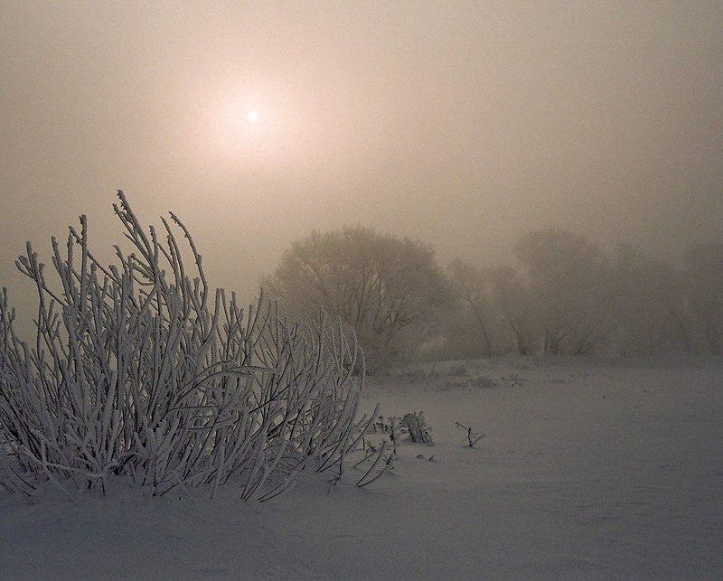 зима, река, туман Утро туманное.... фото превью