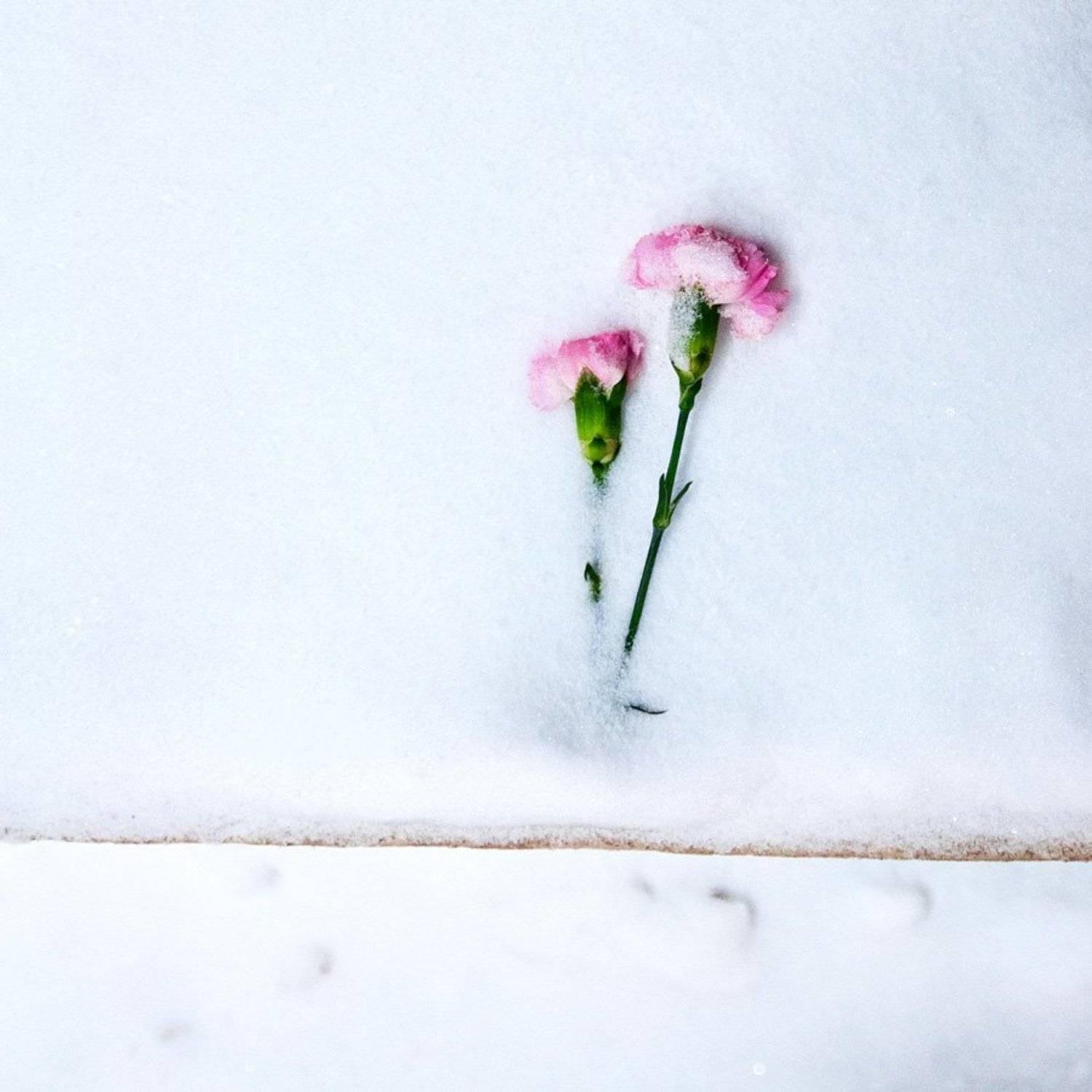 , Марина Сивакова