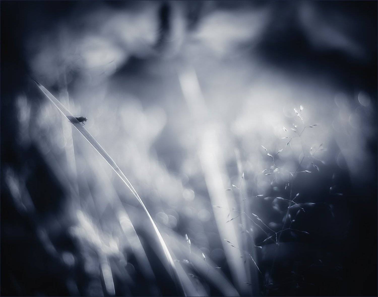 сон, Суханов Дмитрий