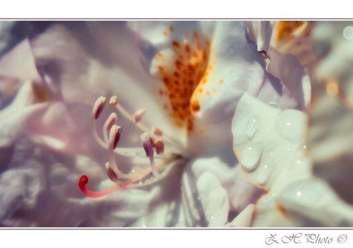 Reaching out