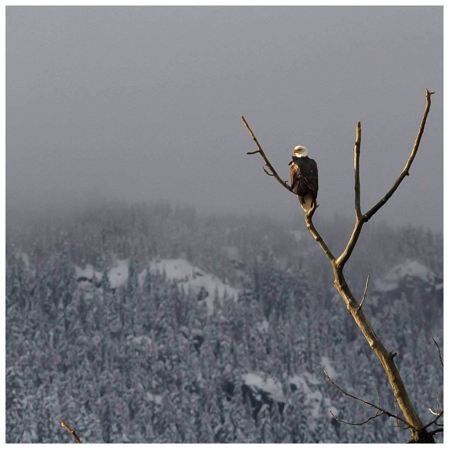 , ГеннадийАлексеич